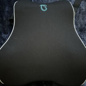 CompuClever Lumbar Support Pillow For Office Chair & Car Seat